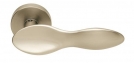 SPOON NIS